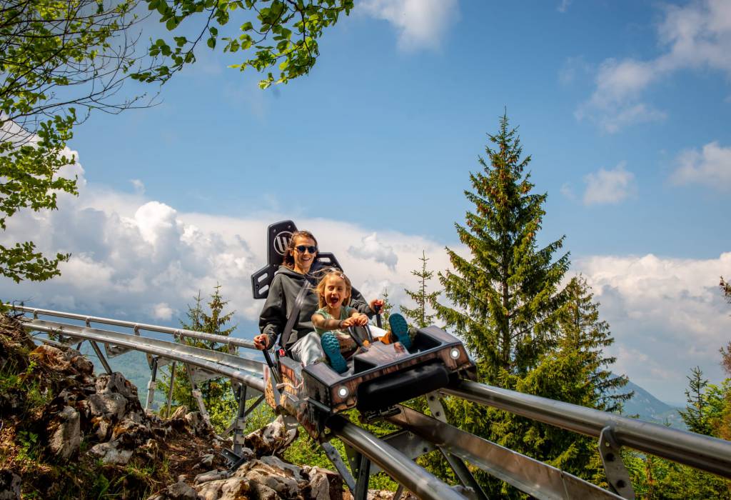 gallery.items.alpineCoaster.title