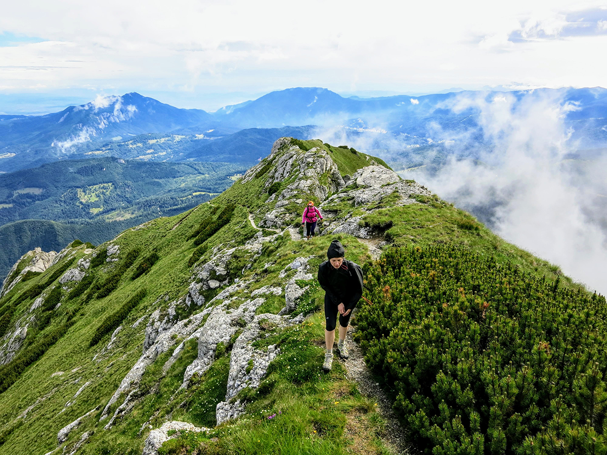 gallery.items.mountainHiking.title